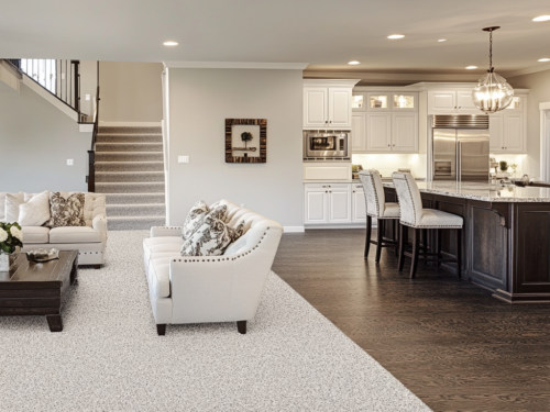 open-concept living space